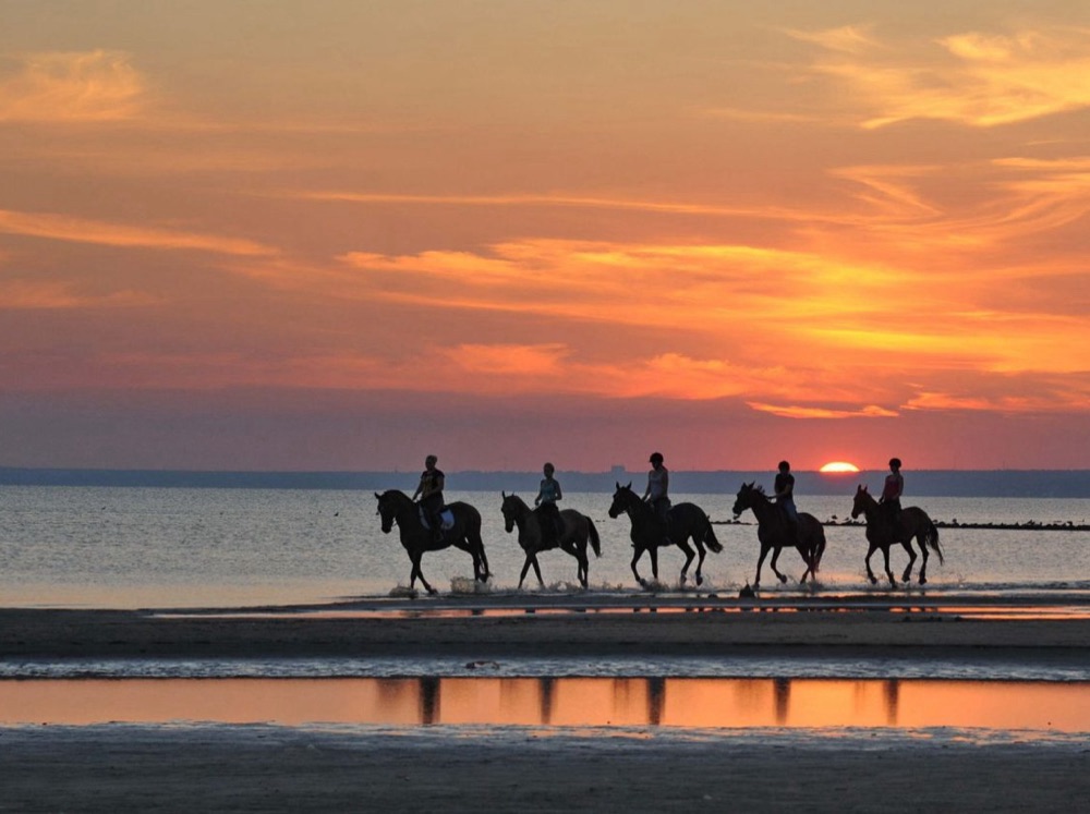 Horse riding on the beach